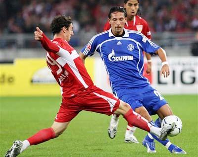 他们不仅仅 他们不仅仅